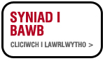 Syniad i Bawb
